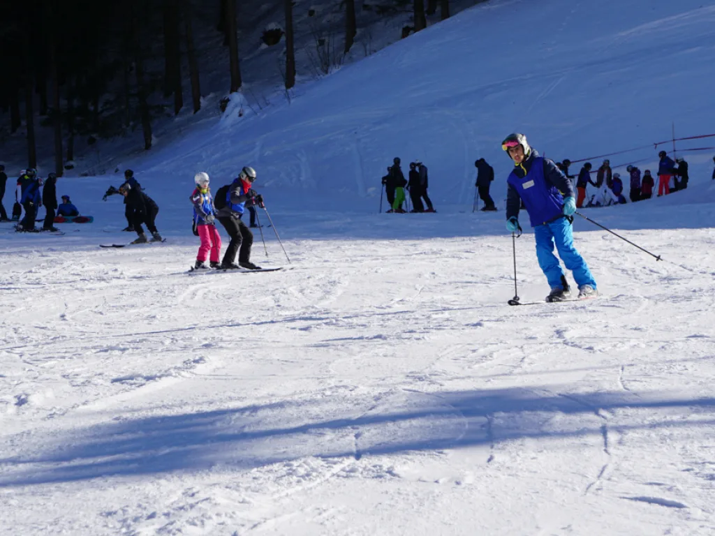 Mehrere Skifahrende auf dem Hang unterhalb des Waldes.